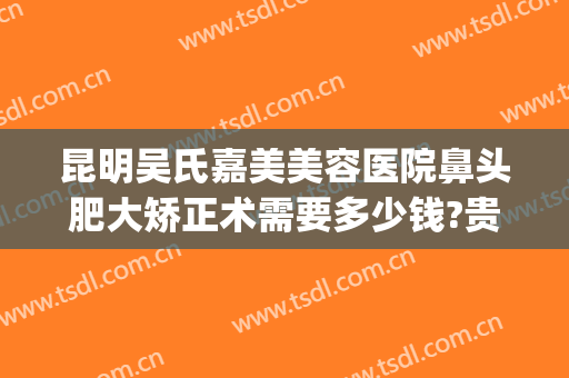 昆明吴氏嘉美美容医院鼻头肥大矫正术需要多少钱?贵不贵?(昆明吴氏嘉美整形医院正规吗)