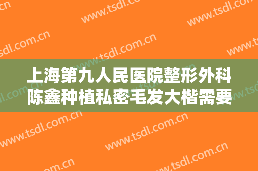 上海第九人民医院整形外科陈鑫种植私密毛发大楷需要多少费用?怎么样?