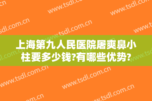 上海第九人民医院屠爽鼻小柱要多少钱?有哪些优势?