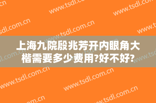 上海九院殷兆芳开内眼角大楷需要多少费用?好不好?