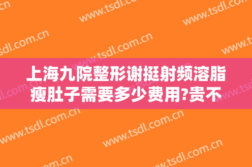 上海九院整形谢挺射频溶脂瘦肚子需要多少费用?贵不贵?