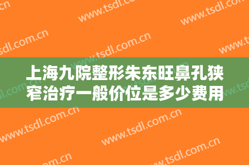 上海九院整形朱东旺鼻孔狭窄治疗一般价位是多少费用?靠谱吗?