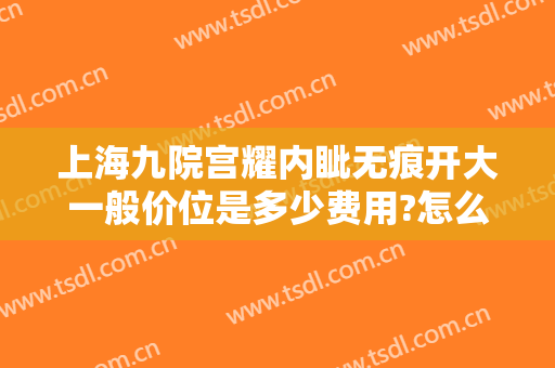 上海九院宫耀内眦无痕开大一般价位是多少费用?怎么样?