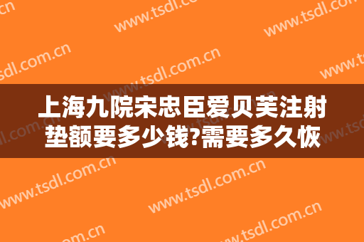 上海九院宋忠臣爱贝芙注射垫额要多少钱?需要多久恢复?