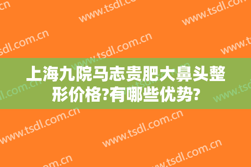 上海九院马志贵肥大鼻头整形价格?有哪些优势?