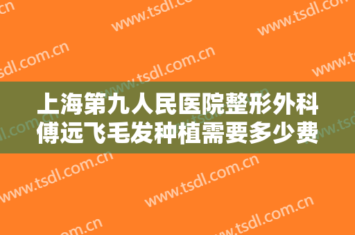 上海第九人民医院整形外科傅远飞毛发种植需要多少费用?多长时间恢复?