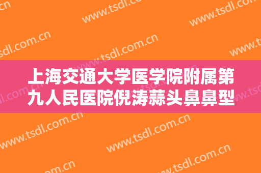 上海交通大学医学院附属第九人民医院倪涛蒜头鼻鼻型矫正一般价位是多少费用?好不好?