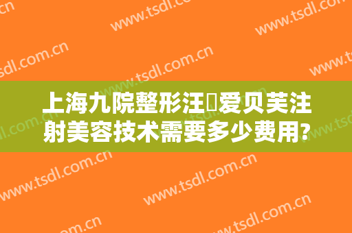 上海九院整形汪湧爱贝芙注射美容技术需要多少费用?好不好?