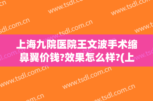 上海九院医院王文波手术缩鼻翼价钱?效果怎么样?(上海九院缩鼻翼价格)