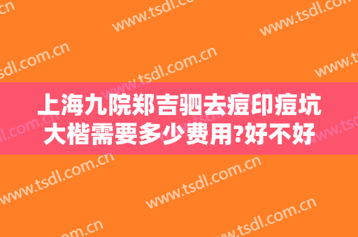 上海九院郑吉驷去痘印痘坑大楷需要多少费用?好不好?