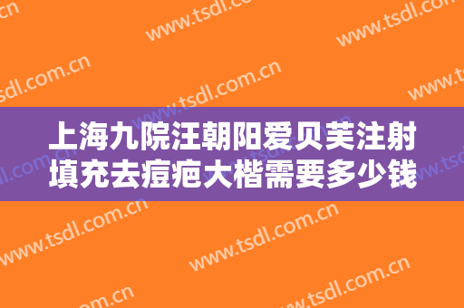 上海九院汪朝阳爱贝芙注射填充去痘疤大楷需要多少钱?有哪些优势?
