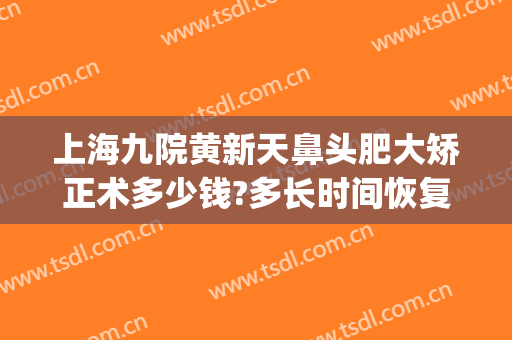 上海九院黄新天鼻头肥大矫正术多少钱?多长时间恢复?(上海九院鼻子矫正多少钱)