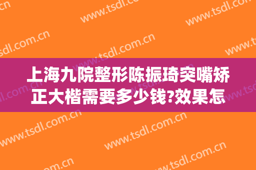 上海九院整形陈振琦突嘴矫正大楷需要多少钱?效果怎么样?(上海九院凸嘴整形好不好)