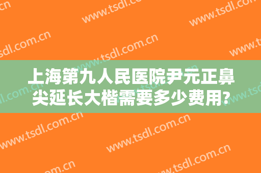 上海第九人民医院尹元正鼻尖延长大楷需要多少费用?怎么样?