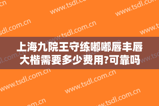 上海九院王守练嘟嘟唇丰唇大楷需要多少费用?可靠吗?