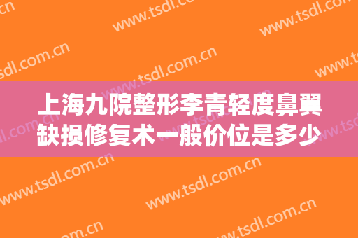 上海九院整形李青轻度鼻翼缺损修复术一般价位是多少钱?怎么样?(上海九院鼻子整形价格)