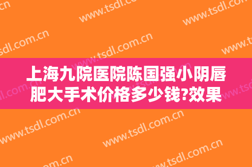 上海九院医院陈国强小阴唇肥大手术价格多少钱?效果怎么样?