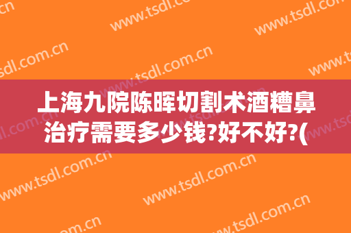 上海九院陈晖切割术酒糟鼻治疗需要多少钱?好不好?(酒糟鼻切割术哪里可以做)