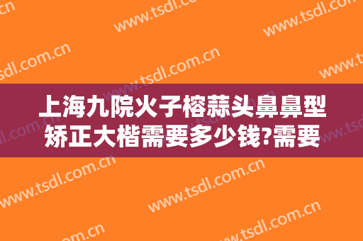 上海九院火子榕蒜头鼻鼻型矫正大楷需要多少钱?需要多久恢复?