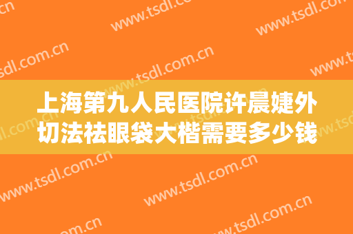 上海第九人民医院许晨婕外切法祛眼袋大楷需要多少钱?怎么样?(上海第九整形美容医院)