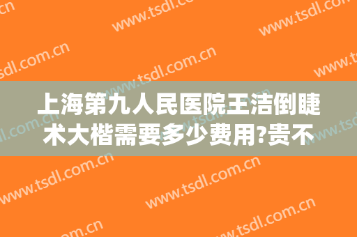 上海第九人民医院王洁倒睫术大楷需要多少费用?贵不贵?(上海九院倒睫手术费用)