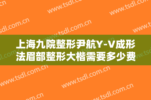 上海九院整形尹航Y-V成形法眉部整形大楷需要多少费用?效果怎么样?