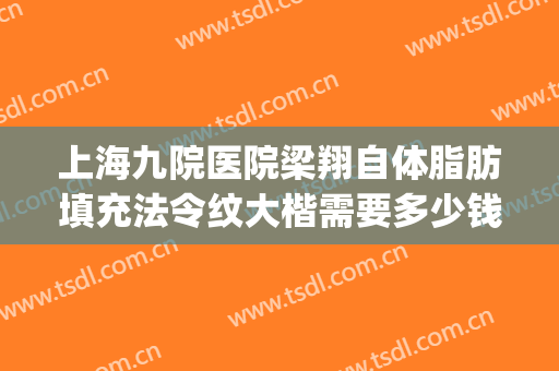上海九院医院梁翔自体脂肪填充法令纹大楷需要多少钱?靠谱吗?(上海九院整形脂肪填充)