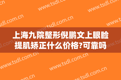 上海九院整形倪鹏文上眼睑提肌矫正什么价格?可靠吗?(上海九院整形科做眼袋哪个专家好)