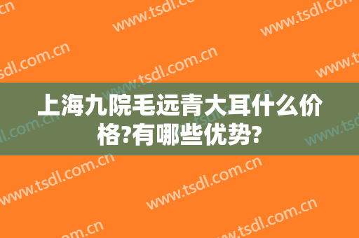上海九院毛远青大耳什么价格?有哪些优势?
