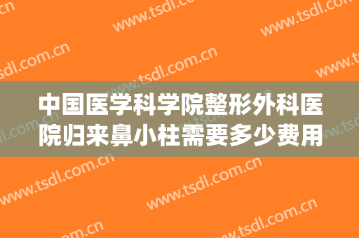中国医学科学院整形外科医院归来鼻小柱需要多少费用?有哪些优势?(鼻小柱手术多少钱)
