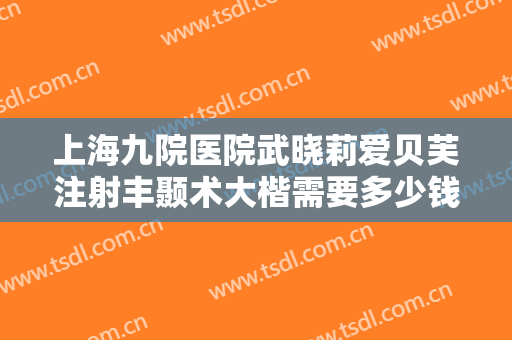 上海九院医院武晓莉爱贝芙注射丰颞术大楷需要多少钱?多长时间恢复?