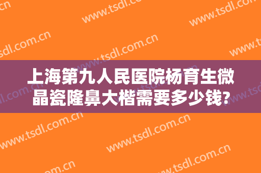 上海第九人民医院杨育生微晶瓷隆鼻大楷需要多少钱?好不好?