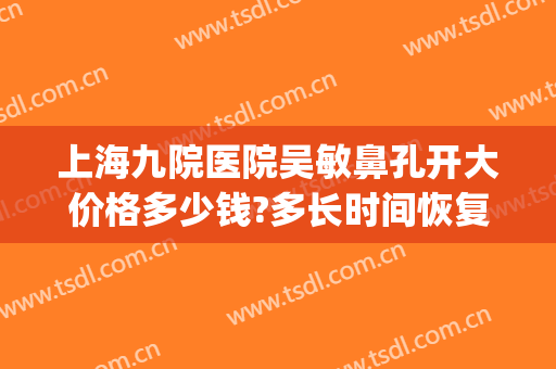 上海九院医院吴敏鼻孔开大价格多少钱?多长时间恢复?(上海九院韦敏隆鼻)