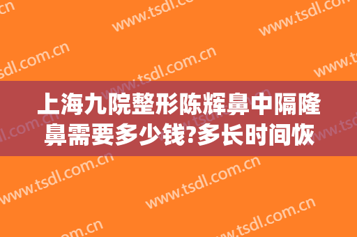 上海九院整形陈辉鼻中隔隆鼻需要多少钱?多长时间恢复?(上海九院隆鼻整形价格)