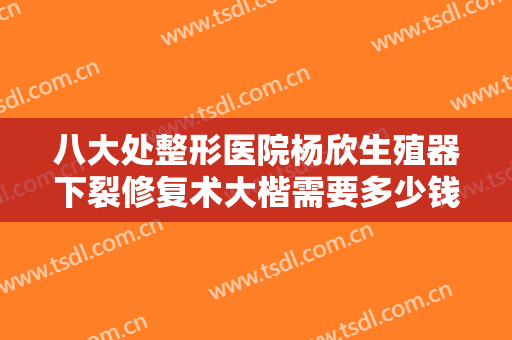 八大处整形医院杨欣生殖器下裂修复术大楷需要多少钱?有哪些优势?