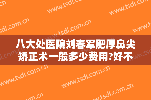 八大处医院刘春军肥厚鼻尖矫正术一般多少费用?好不好?
