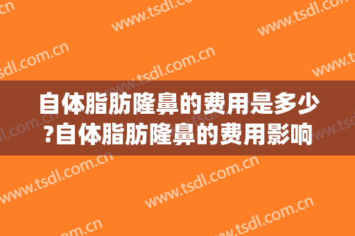 自体脂肪隆鼻的费用是多少?自体脂肪隆鼻的费用影响因素有哪些?(自体脂肪隆鼻有风险吗?)