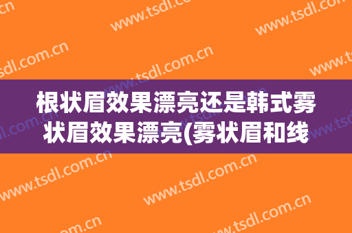 根状眉效果漂亮还是韩式雾状眉效果漂亮(雾状眉和线条眉哪个好)