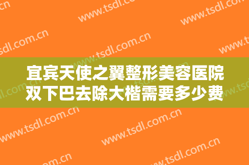宜宾天使之翼整形美容医院双下巴去除大楷需要多少费用?贵不贵?