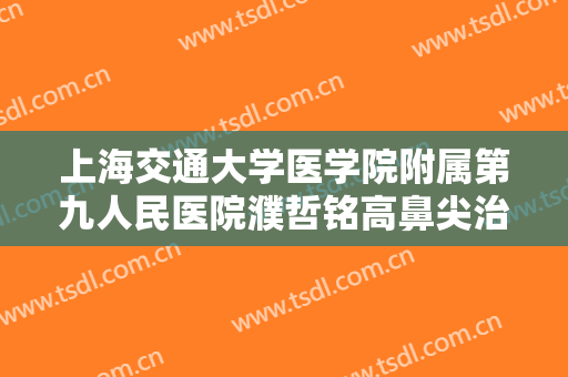 上海交通大学医学院附属第九人民医院濮哲铭高鼻尖治疗需要多少费用?怎么样?
