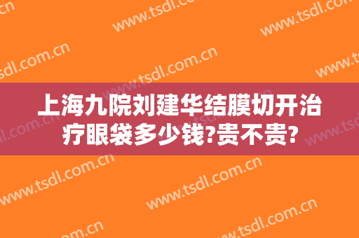 上海九院刘建华结膜切开治疗眼袋多少钱?贵不贵?