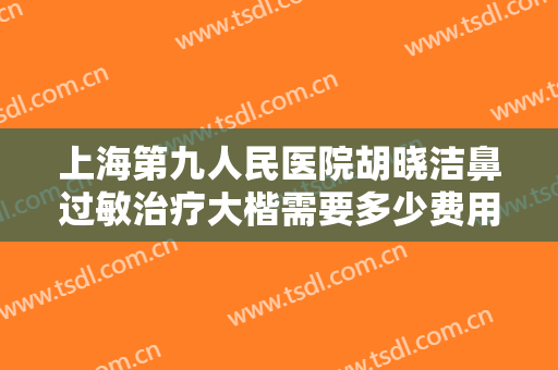上海第九人民医院胡晓洁鼻过敏治疗大楷需要多少费用?效果怎么样?