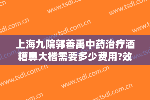 上海九院郭善禹中药治疗酒糟鼻大楷需要多少费用?效果怎么样?