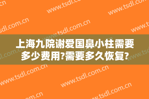 上海九院谢爱国鼻小柱需要多少费用?需要多久恢复?