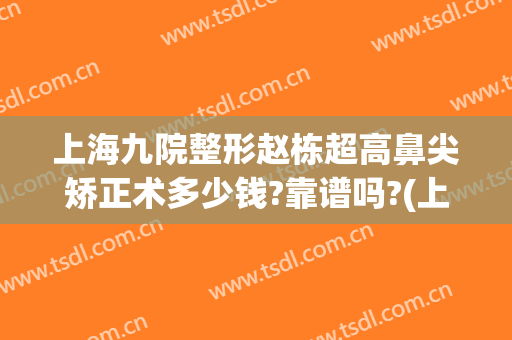 上海九院整形赵栋超高鼻尖矫正术多少钱?靠谱吗?(上海九院鼻梁整形费用)