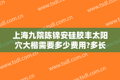 上海九院陈锦安硅胶丰太阳穴大楷需要多少费用?多长时间恢复?