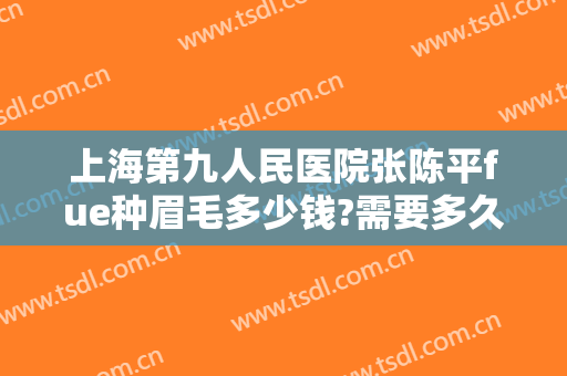 上海第九人民医院张陈平fue种眉毛多少钱?需要多久恢复?