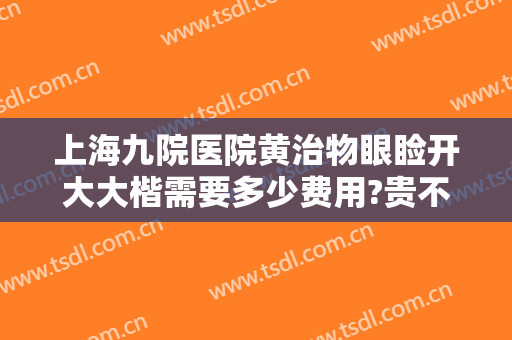 上海九院医院黄治物眼睑开大大楷需要多少费用?贵不贵?