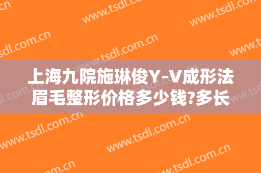 上海九院施琳俊Y-V成形法眉毛整形价格多少钱?多长时间恢复?