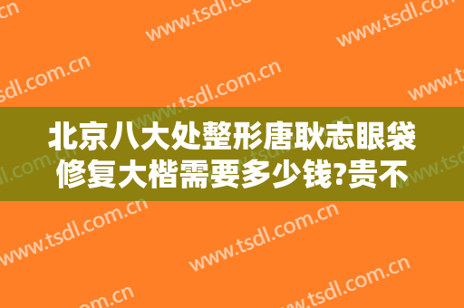 北京八大处整形唐耿志眼袋修复大楷需要多少钱?贵不贵?